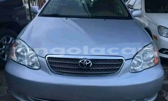 Acheter Occasion Voiture Toyota Corolla Bleu à Luena, Moxico