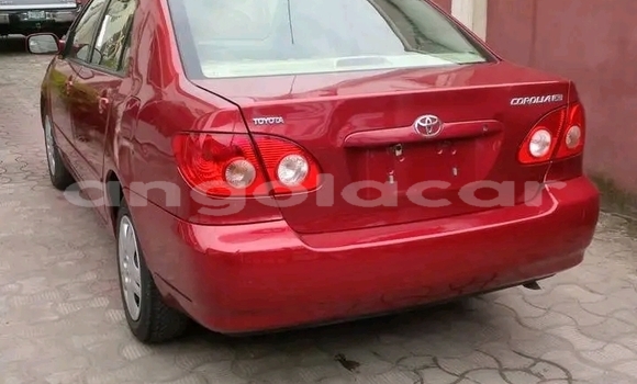 Comprar Usado Toyota Corolla Vermelho Carro em Luena em Moxico Comprar Usado Toyota Corolla Vermelho Carro em Luena em Moxico