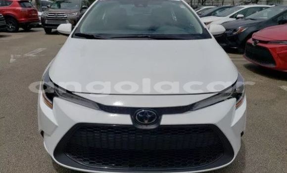 Buy Used Toyota Corolla White Car in Luena in Moxico Buy Used Toyota Corolla White Car in Luena in Moxico