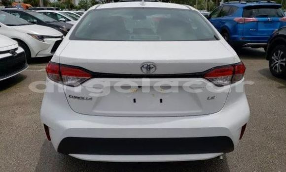 Comprar Usado Toyota Corolla Branco Carro em Luena em Moxico Comprar Usado Toyota Corolla Branco Carro em Luena em Moxico