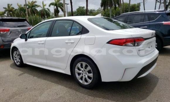 Comprar Usado Toyota Corolla Branco Carro em Luena em Moxico Comprar Usado Toyota Corolla Branco Carro em Luena em Moxico