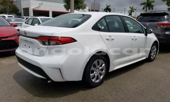 Comprar Usado Toyota Corolla Branco Carro em Luena em Moxico Comprar Usado Toyota Corolla Branco Carro em Luena em Moxico