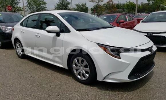 Comprar Usado Toyota Corolla Branco Carro em Luena em Moxico Comprar Usado Toyota Corolla Branco Carro em Luena em Moxico