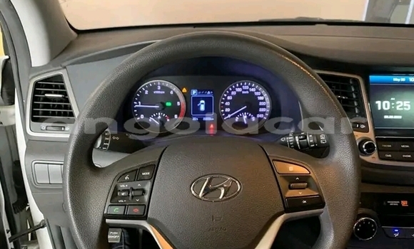 Buy Used Hyundai Tucson White Car in Luanda in Luanda Province Buy Used Hyundai Tucson White Car in Luanda in Luanda Province