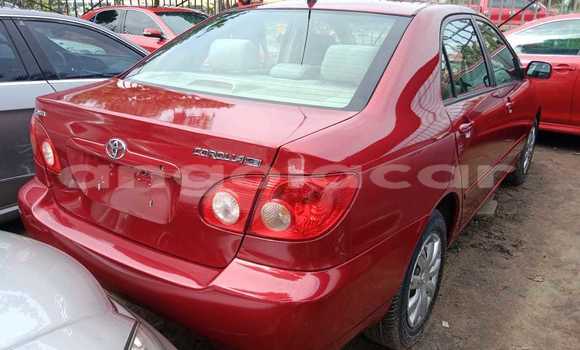 Buy Used Toyota Corolla Red Car in Luanda in Luanda Province Buy Used Toyota Corolla Red Car in Luanda in Luanda Province