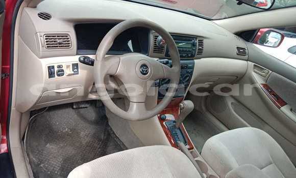 Buy Used Toyota Corolla Red Car in Luanda in Luanda Province Buy Used Toyota Corolla Red Car in Luanda in Luanda Province