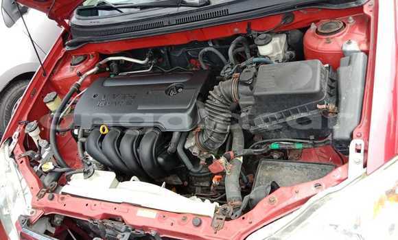 Buy Used Toyota Corolla Red Car in Luanda in Luanda Province Buy Used Toyota Corolla Red Car in Luanda in Luanda Province
