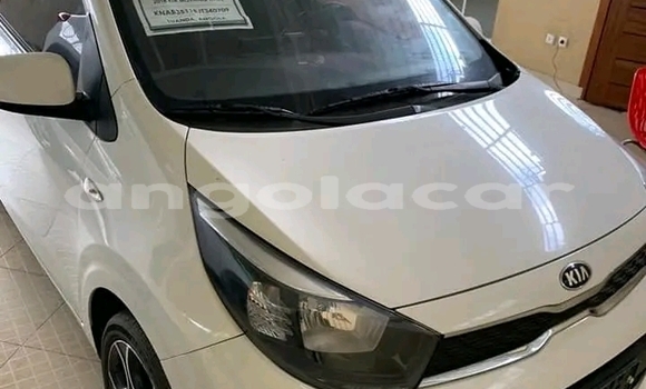 Comprar Usado Kia Picanto Outro Carro em Luanda em Luanda Province