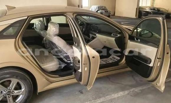 Comprar Usado Kia Cerato Outro Carro em Luena em Moxico Comprar Usado Kia Cerato Outro Carro em Luena em Moxico