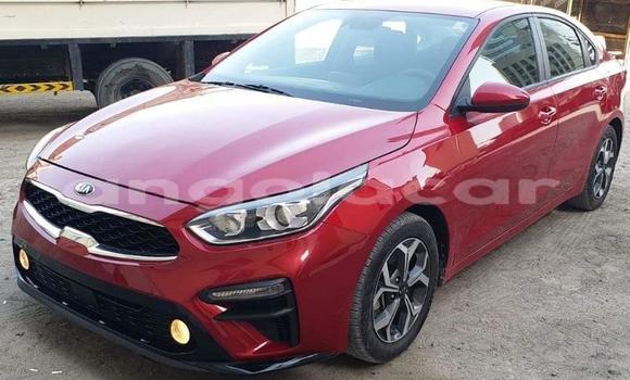 Comprar Usado Kia Cerato Outro Carro em Luena em Moxico Comprar Usado Kia Cerato Outro Carro em Luena em Moxico