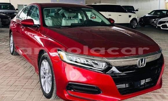 Buy Used Honda Accord Red Car in Luena in Moxico Buy Used Honda Accord Red Car in Luena in Moxico