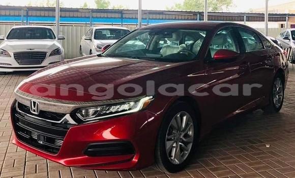 Buy Used Honda Accord Red Car in Luena in Moxico Buy Used Honda Accord Red Car in Luena in Moxico