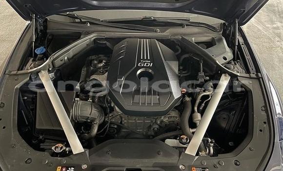 Comprar Usado Genesis G70 Outro Carro em Luena em Moxico Comprar Usado Genesis G70 Outro Carro em Luena em Moxico