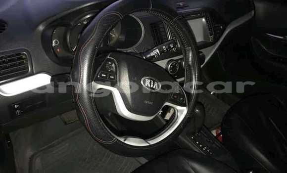 Buy Used Kia Picanto Red Car in Luanda in Luanda Province Buy Used Kia Picanto Red Car in Luanda in Luanda Province