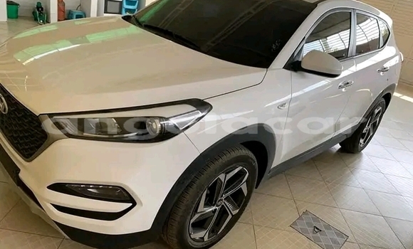 Comprar Usado Hyundai Tucson Branco Carro em Luanda em Luanda Province