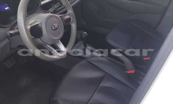 Buy Used Kia Morning White Car in Luanda in Luanda Province Buy Used Kia Morning White Car in Luanda in Luanda Province