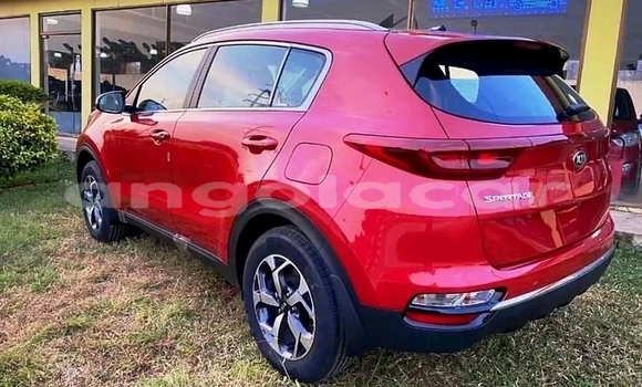 Buy Used Kia Sportage Red Car in Luanda in Luanda Province Buy Used Kia Sportage Red Car in Luanda in Luanda Province