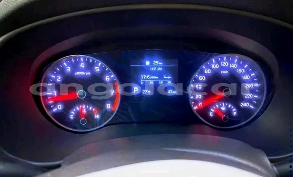 Buy Used Kia Sportage Red Car in Luanda in Luanda Province Buy Used Kia Sportage Red Car in Luanda in Luanda Province