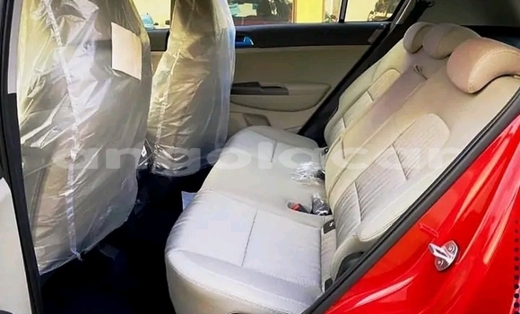 Buy Used Kia Sportage Red Car in Luanda in Luanda Province Buy Used Kia Sportage Red Car in Luanda in Luanda Province