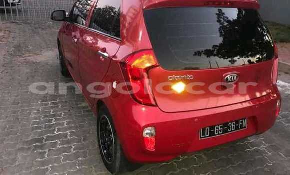 Buy Used Kia Picanto Red Car in Luanda in Luanda Province Buy Used Kia Picanto Red Car in Luanda in Luanda Province