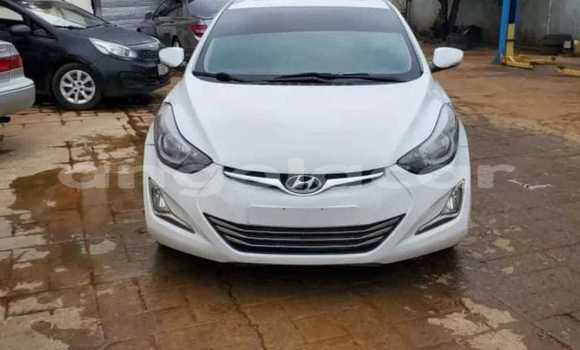 Buy Used Hyundai Elantra Other Car in Luanda in Luanda Province