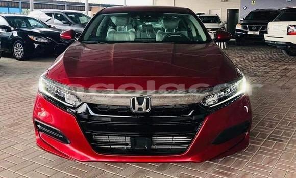 Buy Used Honda Accord Red Car in Luanda in Luanda Province Buy Used Honda Accord Red Car in Luanda in Luanda Province