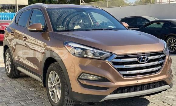 Buy Used Hyundai Tucson Other Car in Luanda in Luanda Province Buy Used Hyundai Tucson Other Car in Luanda in Luanda Province