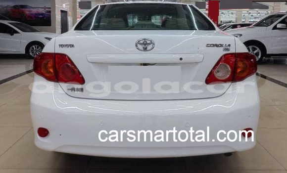 Buy Used Toyota Corolla White Car in Luanda in Luanda Province Buy Used Toyota Corolla White Car in Luanda in Luanda Province