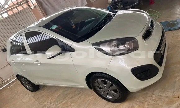 Buy Used Kia Sportage Other Car in Luanda in Luanda Province Buy Used Kia Sportage Other Car in Luanda in Luanda Province