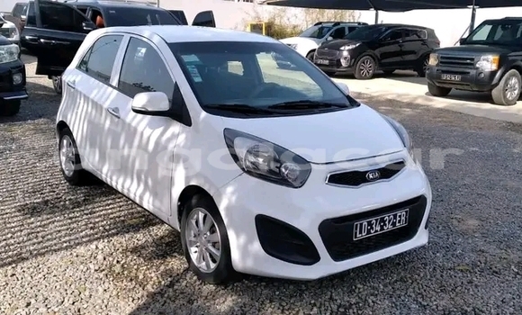 Buy Used Kia Picanto Other Car in Luanda in Luanda Province Buy Used Kia Picanto Other Car in Luanda in Luanda Province