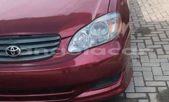 Buy Used Toyota Corolla Red Car in Luanda in Luanda Province Buy Used Toyota Corolla Red Car in Luanda in Luanda Province