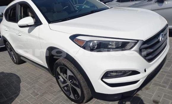 Buy Used Hyundai Tucson White Car in Luanda in Luanda Province