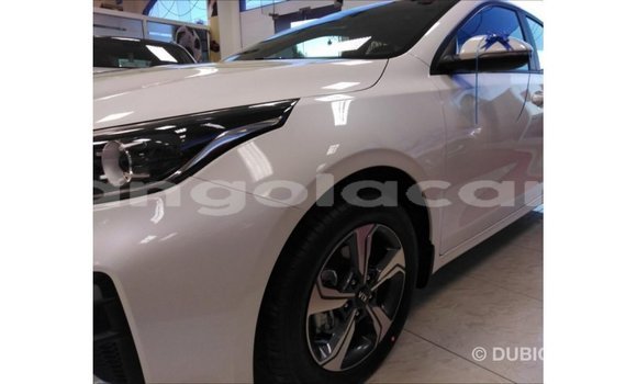 Buy Import Kia Cerato White Car in Import - Dubai in Bengo Province Buy Import Kia Cerato White Car in Import - Dubai in Bengo Province