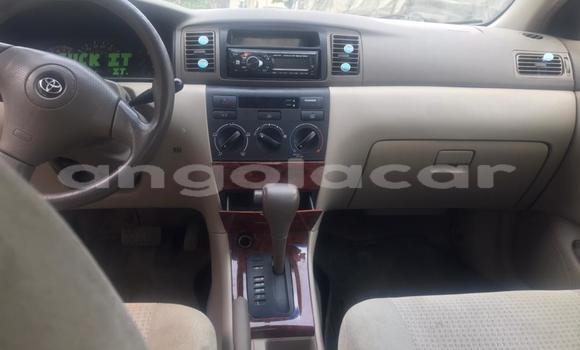 Comprar Usado Toyota Corolla Branco Carro em Luanda em Luanda Province Comprar Usado Toyota Corolla Branco Carro em Luanda em Luanda Province