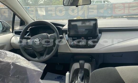Comprar Usado Toyota Corolla Outro Carro em Luanda em Luanda Province Comprar Usado Toyota Corolla Outro Carro em Luanda em Luanda Province