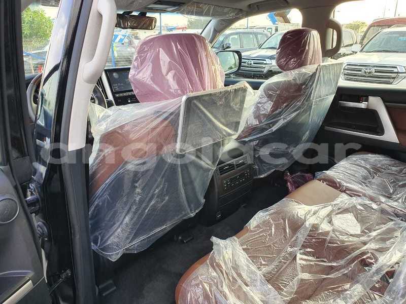 Big with watermark 11