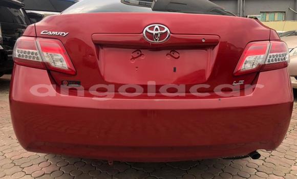 Acheter Occasion Voiture Toyota Camry Rouge à Luanda, Province de Luanda Acheter Occasion Voiture Toyota Camry Rouge à Luanda, Province de Luanda