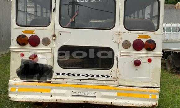 Comprar Usado Caterpillar 120 Bege Caminhão em Luanda em Luanda Province Comprar Usado Caterpillar 120 Bege Caminhão em Luanda em Luanda Province