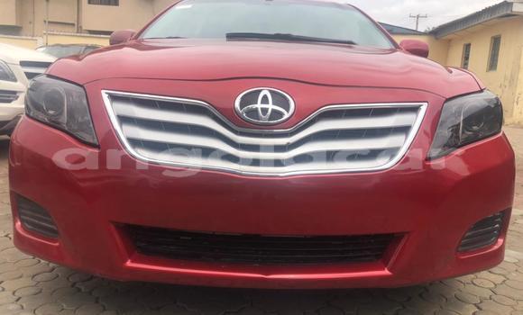Buy Used Toyota Camry Red Car in Luanda in Luanda Province Buy Used Toyota Camry Red Car in Luanda in Luanda Province