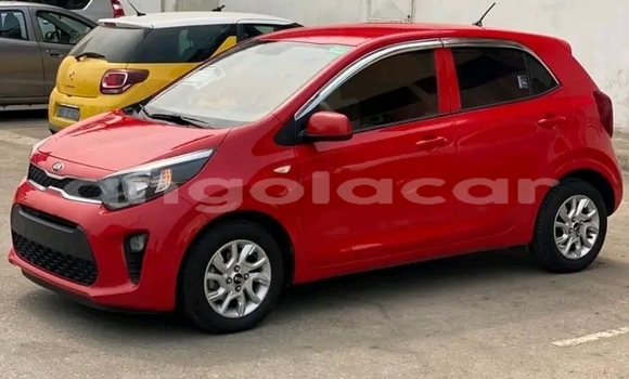 Buy Used Kia Picanto Red Car in Luanda in Luanda Province Buy Used Kia Picanto Red Car in Luanda in Luanda Province