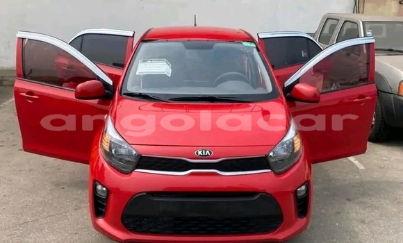 Buy Used Kia Picanto Red Car in Luanda in Luanda Province Buy Used Kia Picanto Red Car in Luanda in Luanda Province