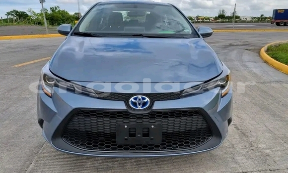 Comprar Usado Toyota Corolla Outro Carro em Luanda em Luanda Province Comprar Usado Toyota Corolla Outro Carro em Luanda em Luanda Province