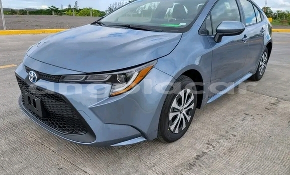 Buy Used Toyota Corolla Other Car in Luanda in Luanda Province Buy Used Toyota Corolla Other Car in Luanda in Luanda Province