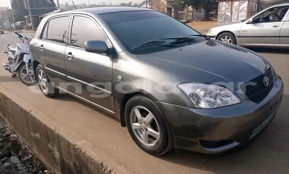 Acheter Occasion Voiture Toyota Corolla Noir à Luena, Moxico