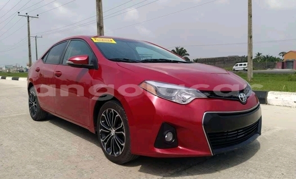 Buy Used Toyota Corolla Red Car in Luena in Moxico