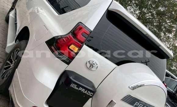 Comprar Usado Toyota Land Cruiser Branco Carro em Luena em Moxico Comprar Usado Toyota Land Cruiser Branco Carro em Luena em Moxico