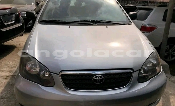 Acheter Occasion Voiture Toyota Corolla Gris à Luanda, Province de Luanda
