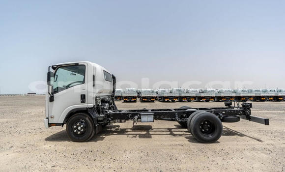 Acheter Neuf Utilitaire Isuzu NPR 85H Blanc à Import - Dubai, Province de Bengo Acheter Neuf Utilitaire Isuzu NPR 85H Blanc à Import - Dubai, Province de Bengo