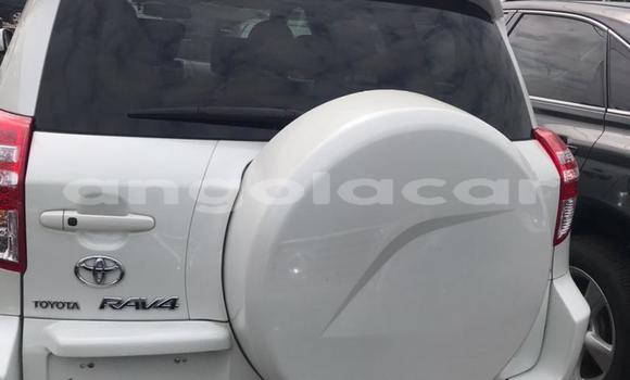 Comprar Usado Toyota RAV4 Branco Carro em Luanda em Luanda Province Comprar Usado Toyota RAV4 Branco Carro em Luanda em Luanda Province