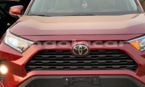 Buy Used Toyota RAV4 Red Car in Luena in Moxico